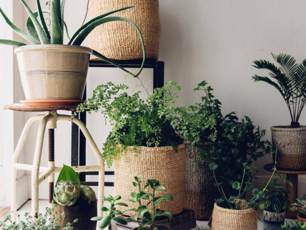 15 ideas para decorar verde nuestro espacio