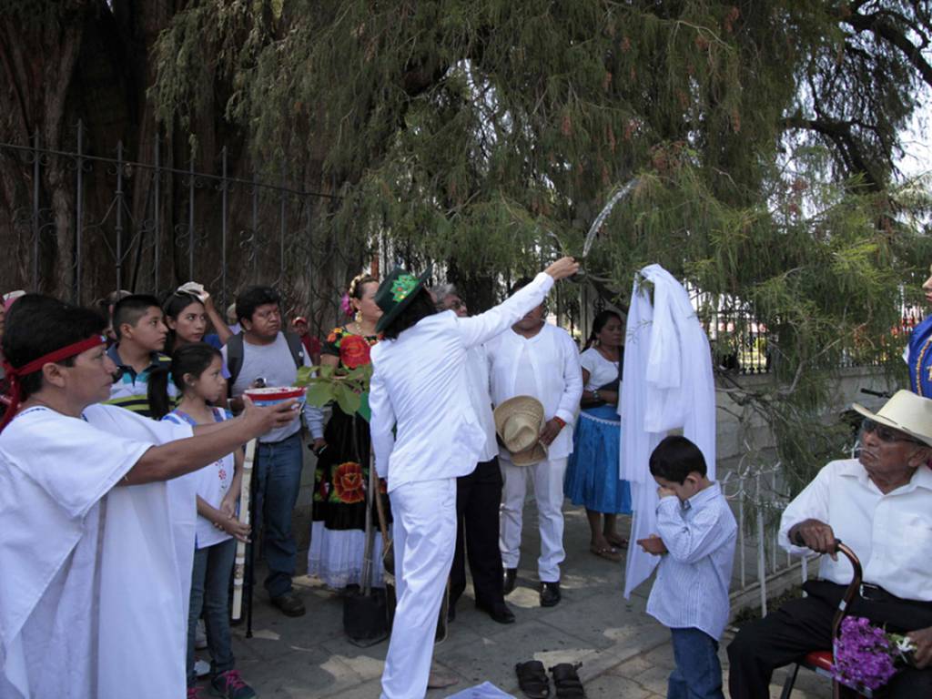 Activista peruano se casó con el Árbol del Tule en Oaxaca, México