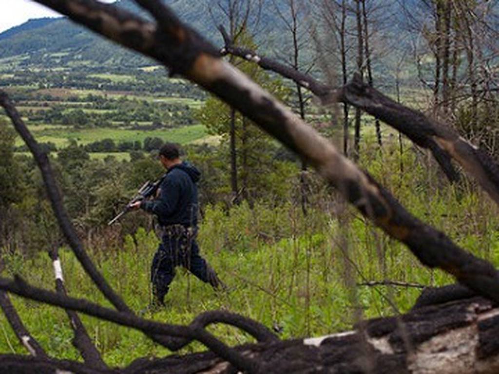 Una batalla por salvar los árboles y la paz de Cherán, México