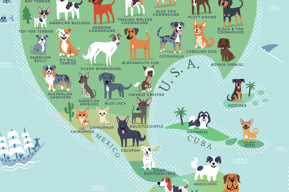 Este mapa muestra de qué país son todas las razas de perro que conoces