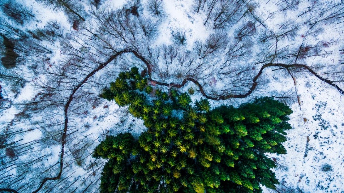Hipnotizantes capturas de la naturaleza desde un drone (FOTOS)