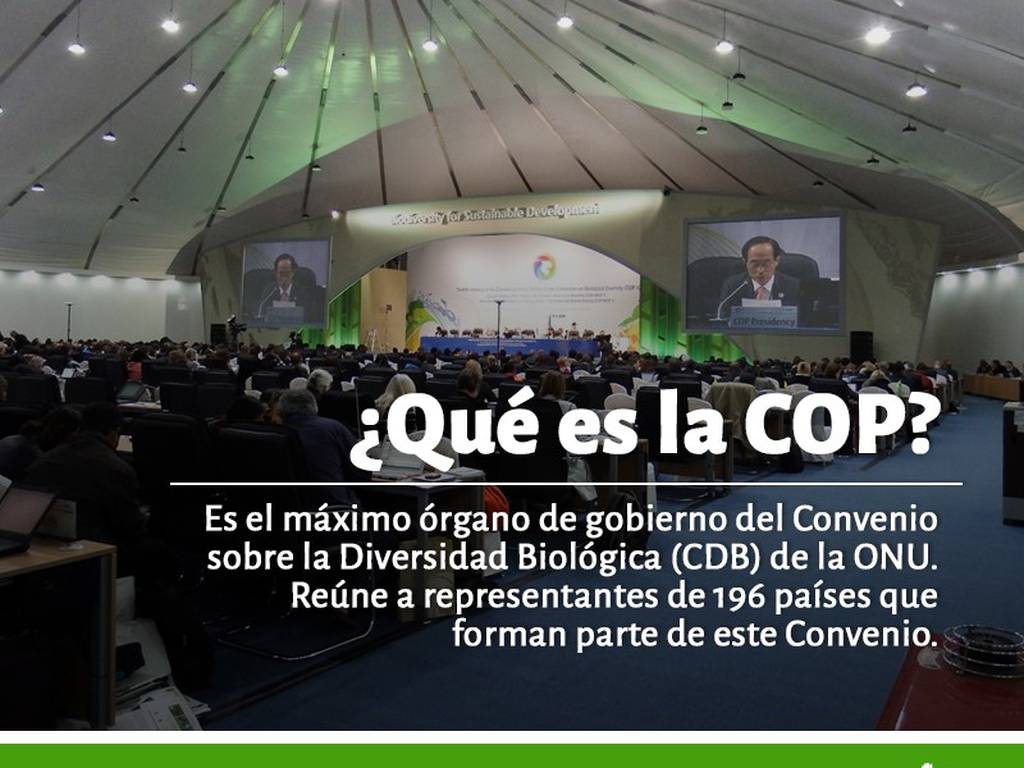 ¿Qué es la COP 13 y por qué es importante que México participe en ella?