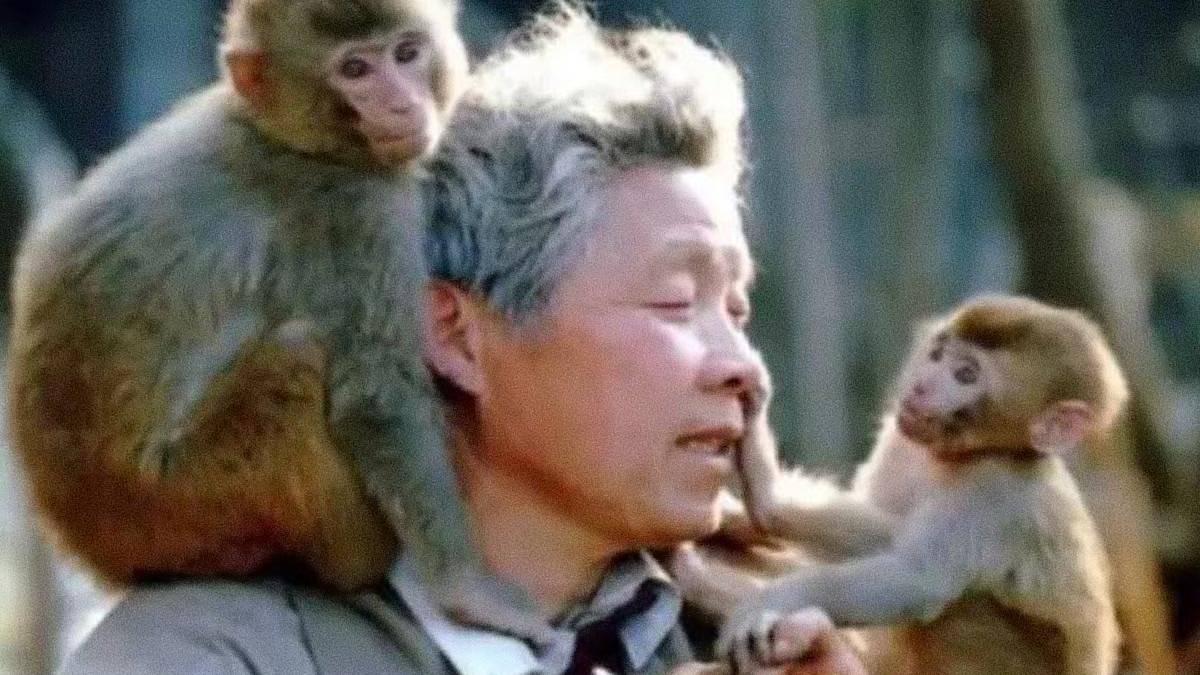 El Señor De 80 Años Que Dirige El Zoológico Más Solitario Del Mundo