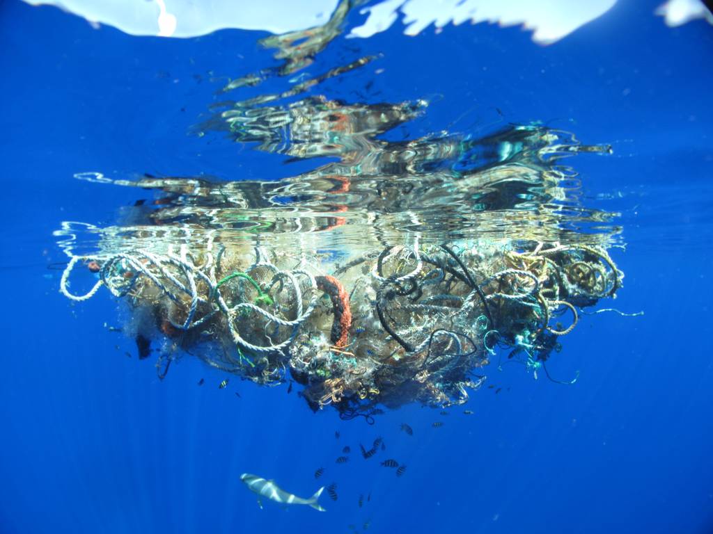 Top 10: tipos de basura más comunes en el mar y playas (INFOGRÁFICO)