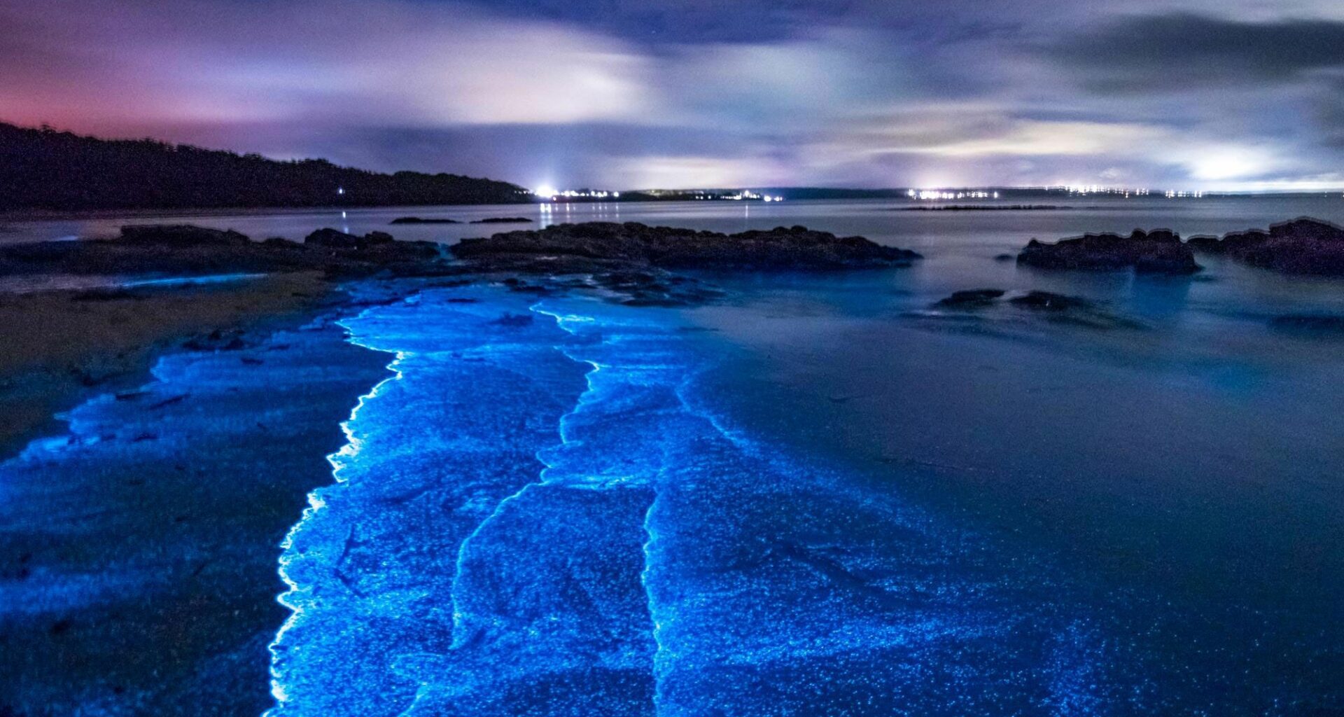 Playas Bioluminiscentes De México: Un Espectáculo Para Sumergirte En El Brillo Del Agua