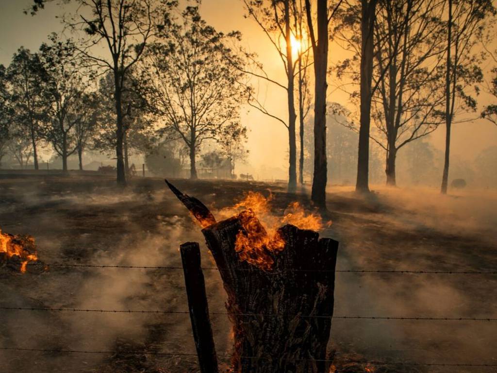 Las impactantes imágenes de los incendios en Australia (qué está pasando y cómo ayudar)