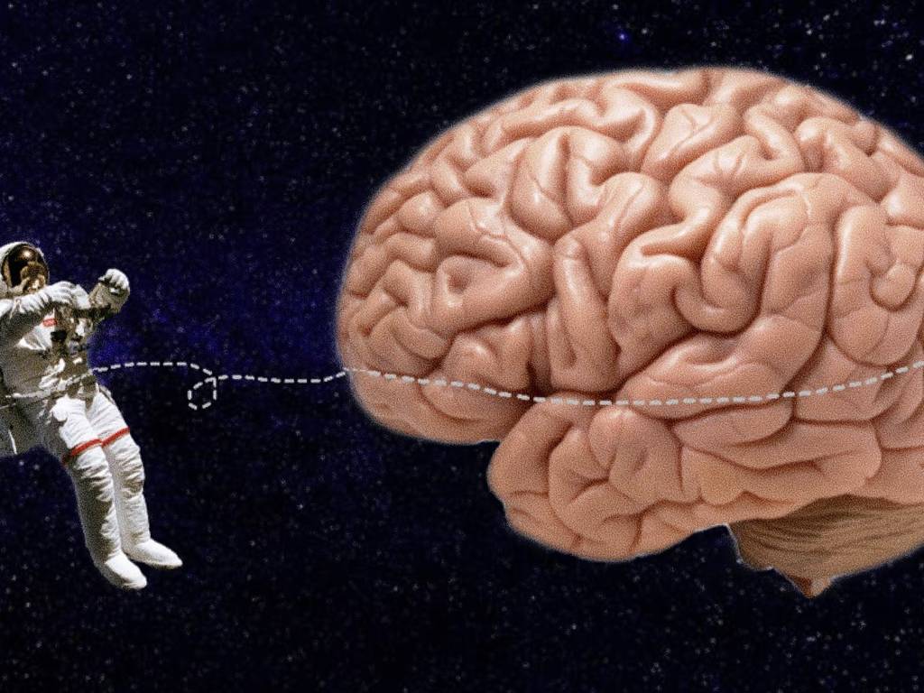 ¿Qué sucede en el cerebro de los astronautas en el espacio?