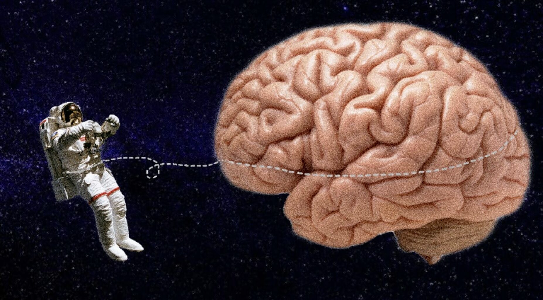 ¿qué Sucede En El Cerebro De Los Astronautas En El Espacio?