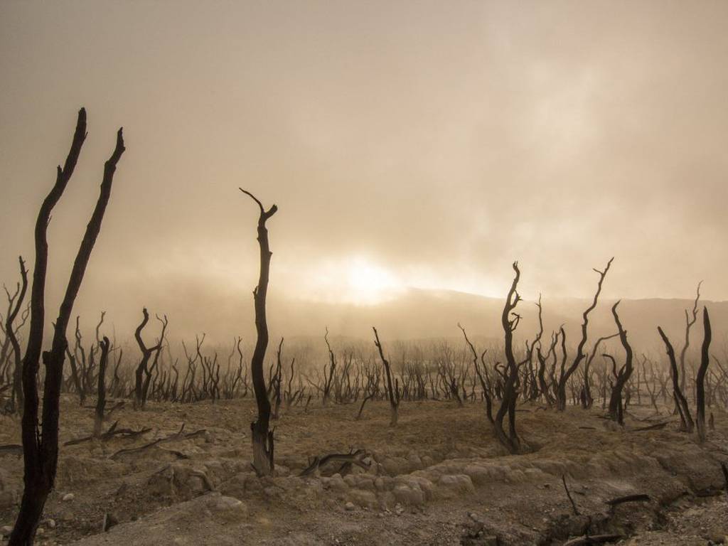El inminente peligro de sequía extrema acecha a futuras generaciones