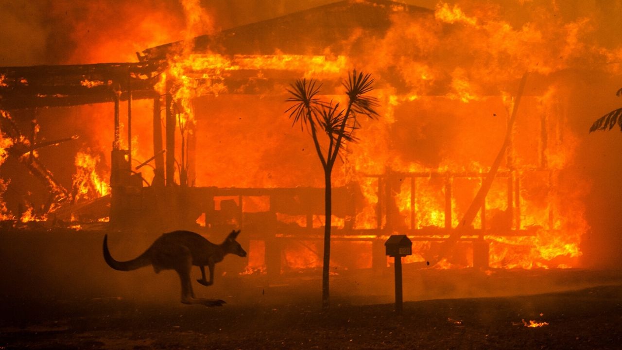 Las Impactantes Imágenes De Los Incendios En Australia (qué Está Pasando Y Cómo Ayudar)