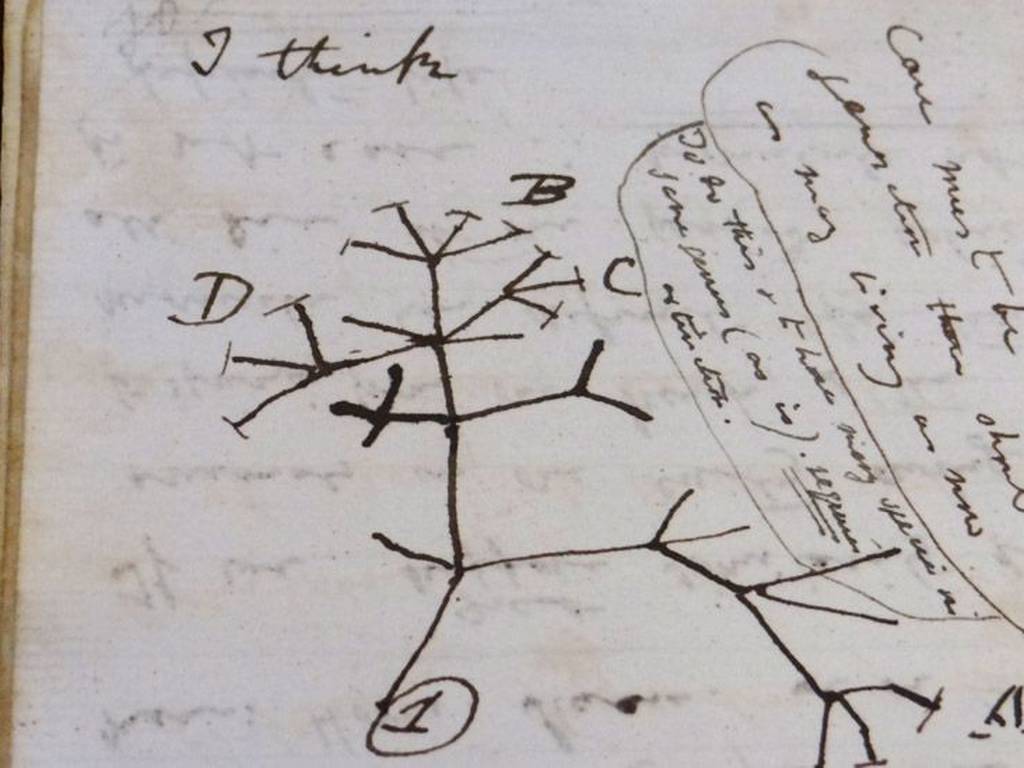 Reaparecen misteriosamente los cuadernos robados de Darwin