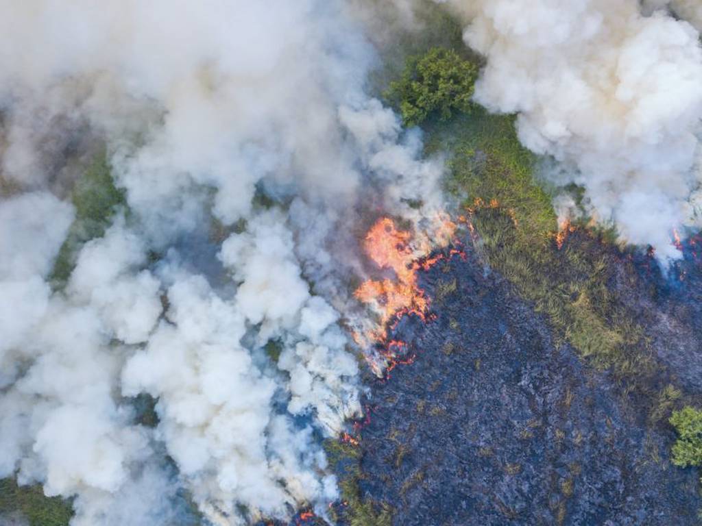 NASA desarrolla método para detectar selvas tropicales en riesgo (y salvarlas a tiempo)