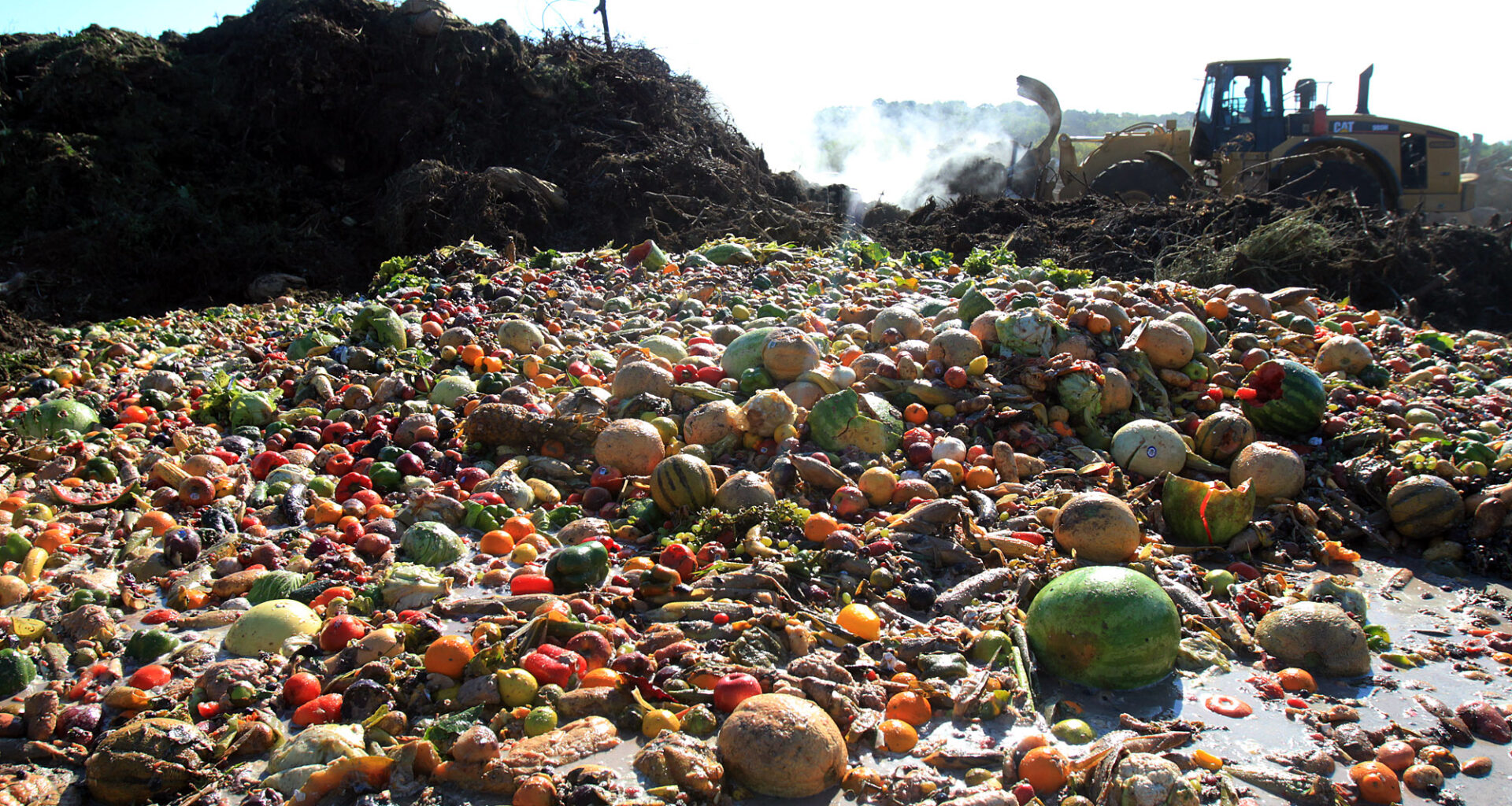 El Inmenso Impacto De La Cantidad De Alimentos Desperdiciados En El Mundo (y Consejos Para Ayudar)