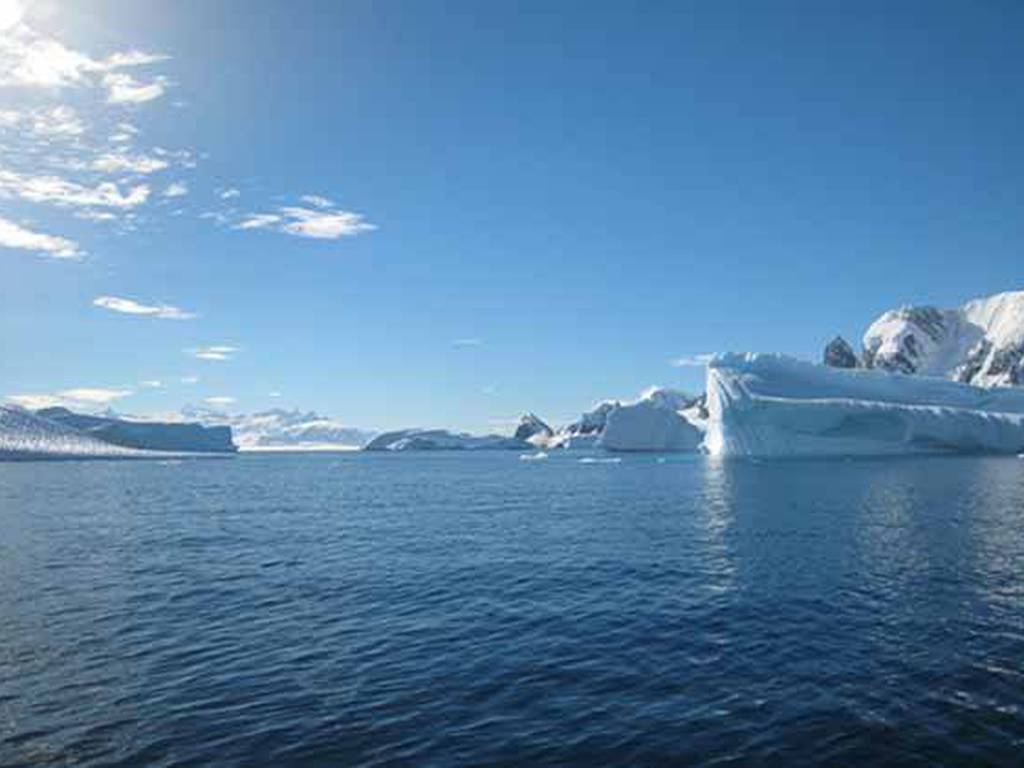 El océano Antártico, el más prístino de todos, ya tiene restos contaminantes
