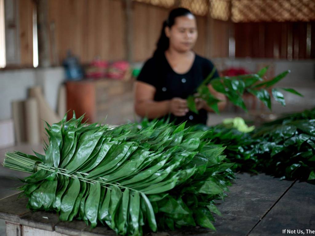 Esta comunidad de Guatemala nos enseña cómo conservar un bosque