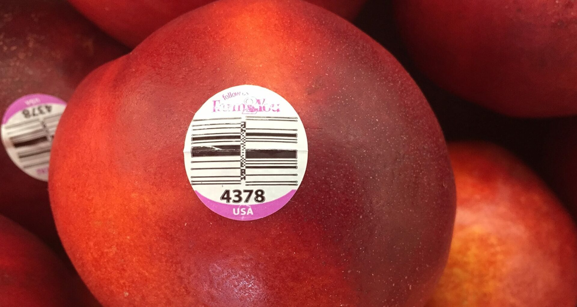 ¿qué Significan Los Códigos En Las Frutas? (aprende A Leer Las Etiquetas)