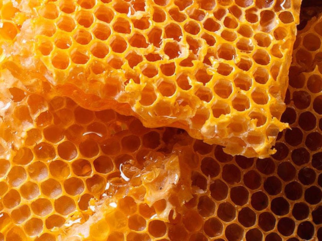 Endulza la existencia: 15 inesperados usos de la miel para remedios caseros
