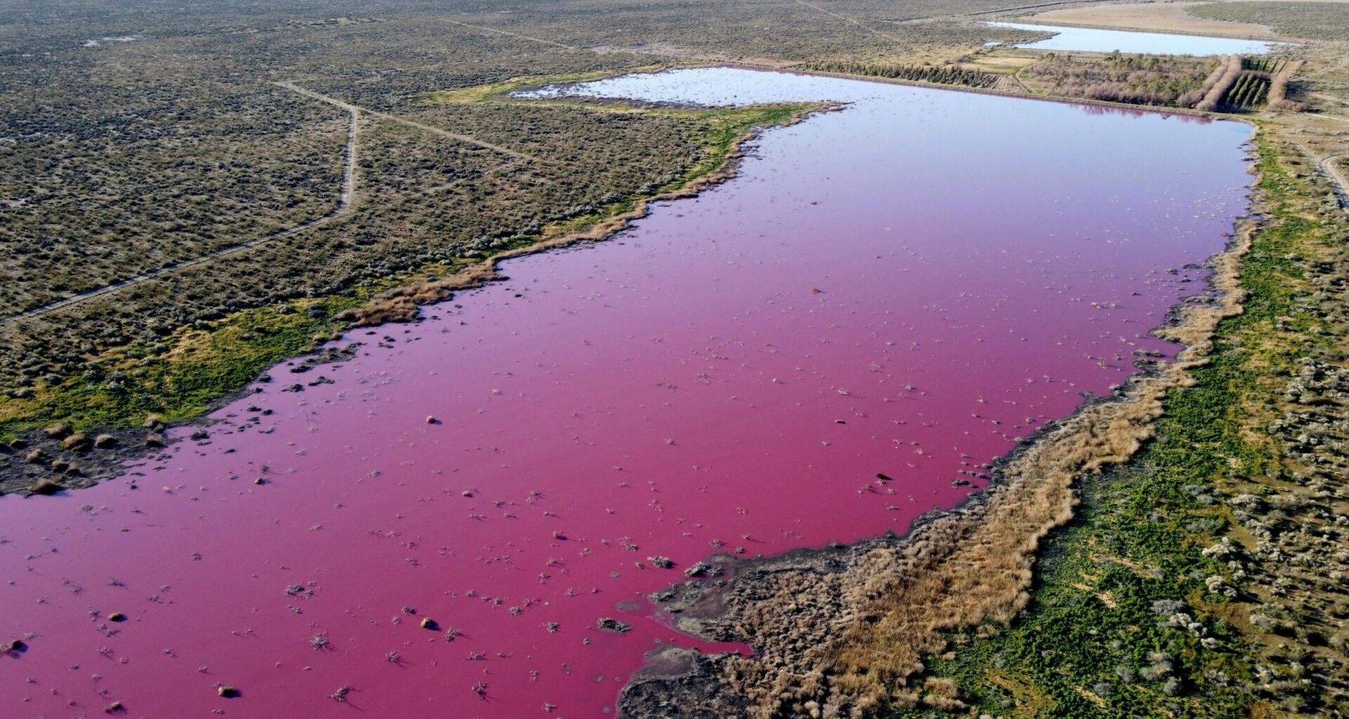 Laguna En Argentina Se Vuelve Rosa Por Químicos Contaminantes