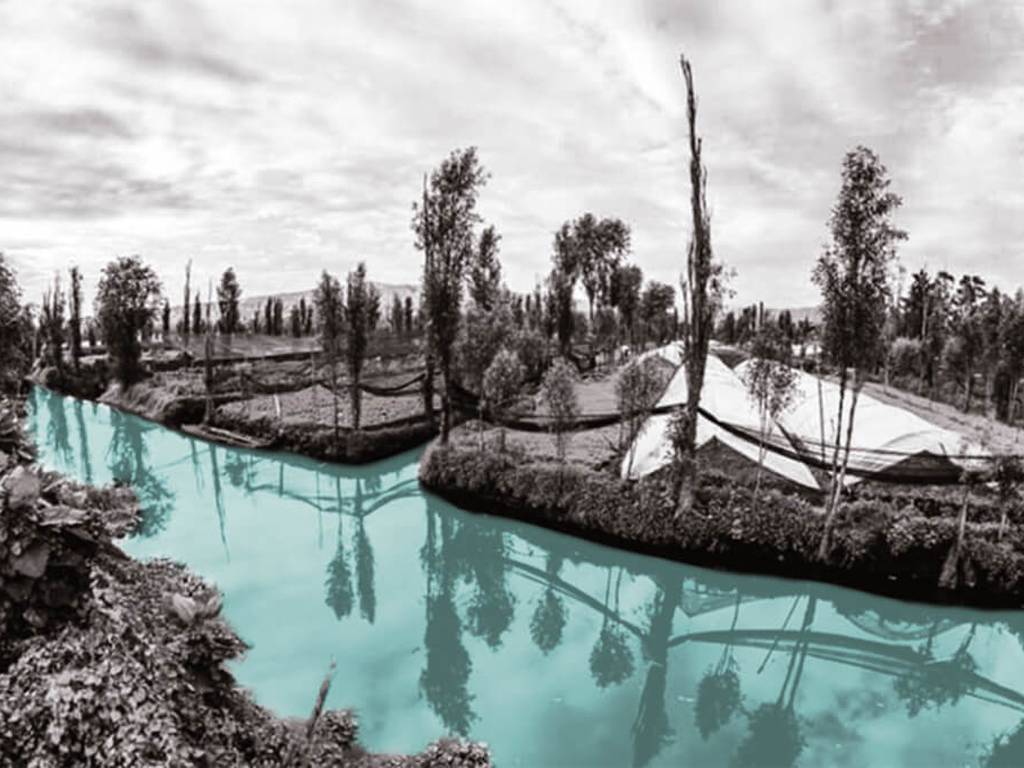 Chinampas: los jardines flotantes aztecas que alimentan la cultura en México