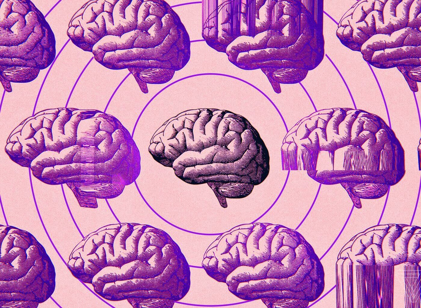 ¿es Posible Reducir La Edad Del Cerebro? La Ciencia Dice Que Hay Posibilidad