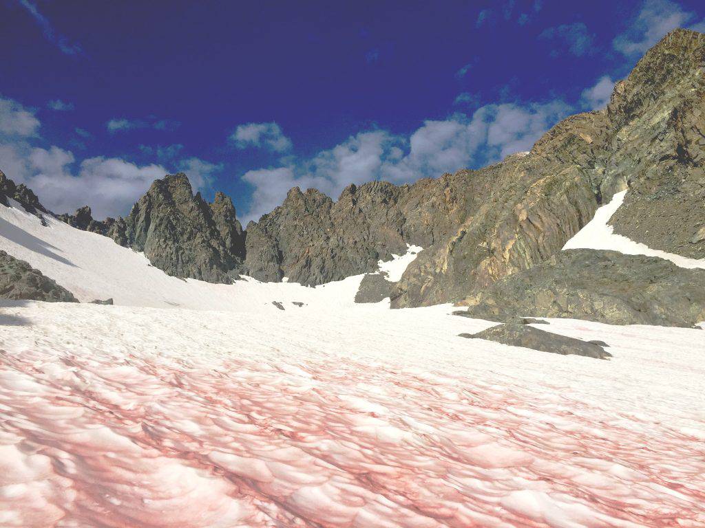 Sangre de glaciar: el fenómeno que está acabando con los Alpes franceses