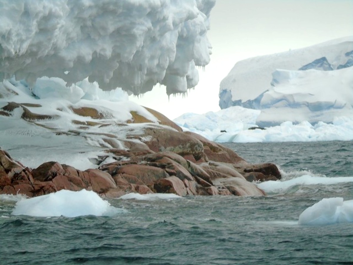 El Deshielo En La Antártida Reveló La Existencia De Una Isla
