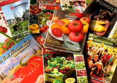 Lista De Marcas De Semillas Para Jardinería Y Comestibles Propiedad De Monsanto