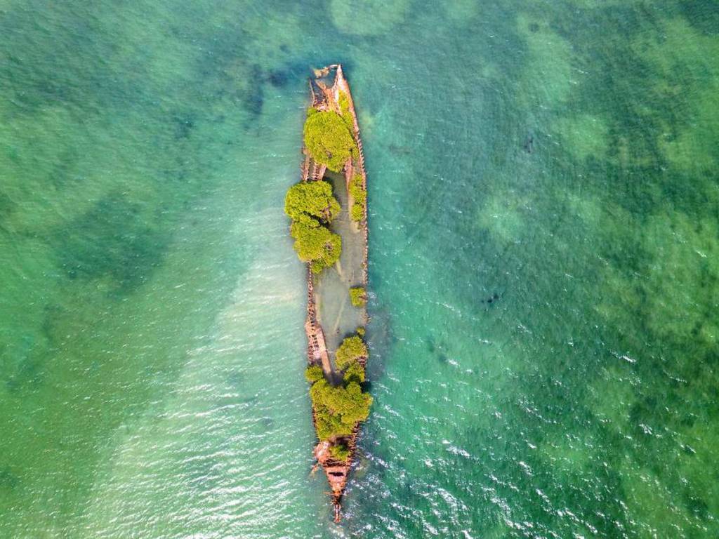 El barco náufrago de Australia que ha renacido como una reserva natural