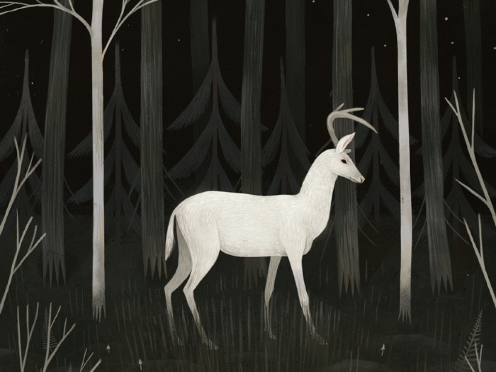 Ilustraciones para sumergirte en los pulsos del bosque