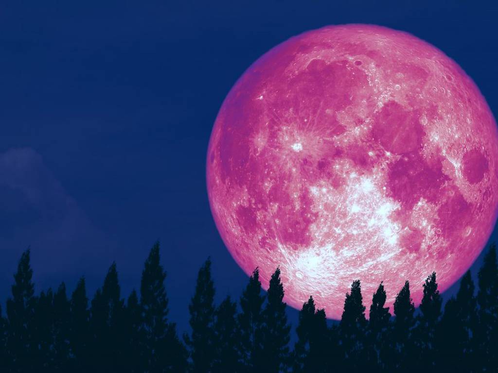 Superluna Rosa de abril 2021: cuándo es, horario y detalles (en vivo)