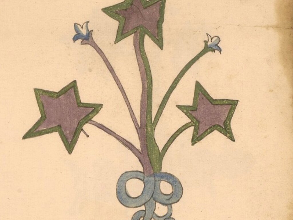 Erbario: místicas ilustraciones italianas del siglo XV