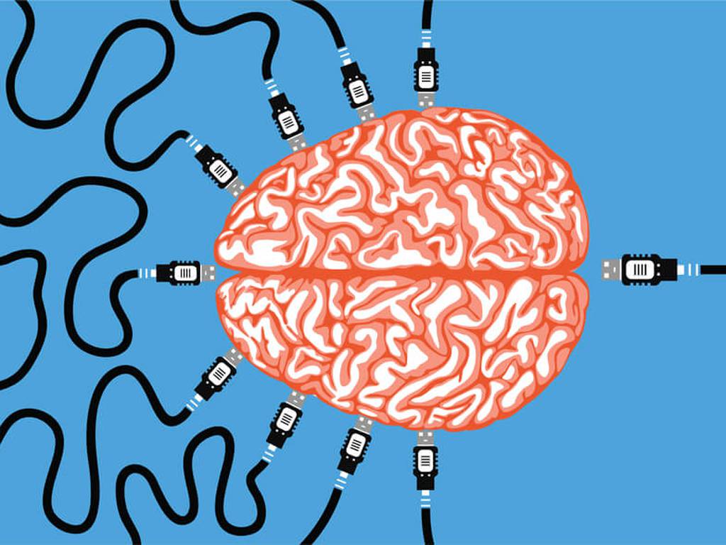 El funcionamiento del cerebro no es como el de una computadora (y eso es maravilloso)