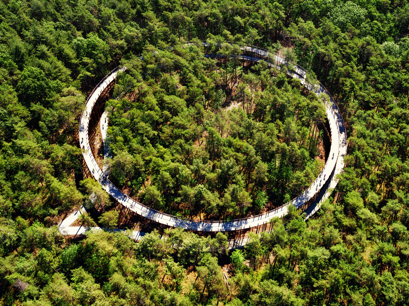 Un carril de bici circular para un viaje de 360° en el bosque (🎥)