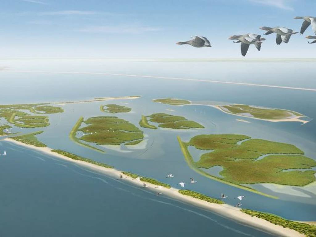 Islas artificiales emergen para recuperar la biodiversidad de este país