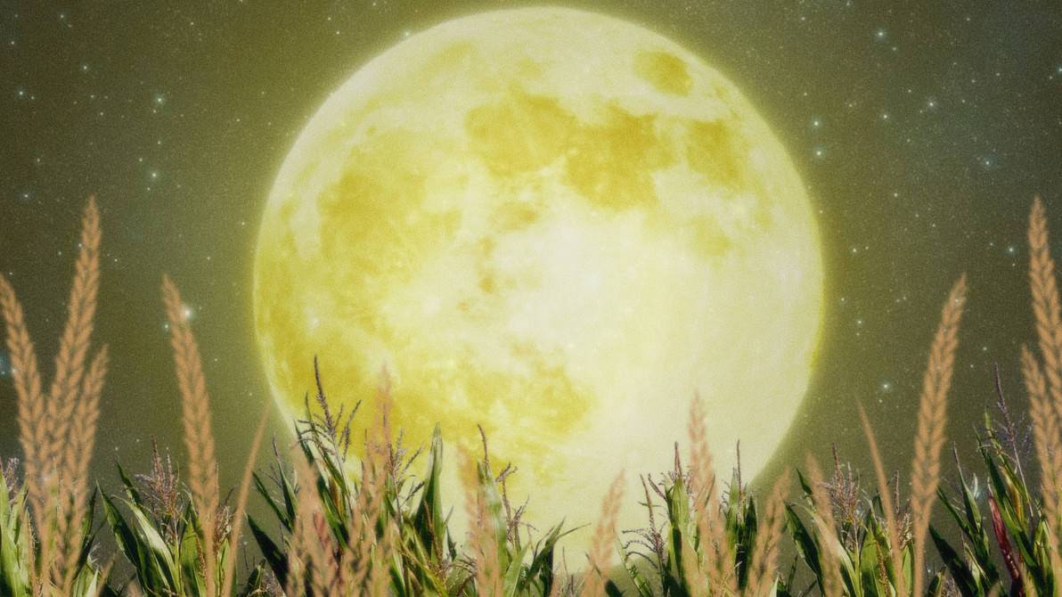 Luna Llena De Maíz 2022: Cómo Y Cuándo Ver La Luna De Septiembre
