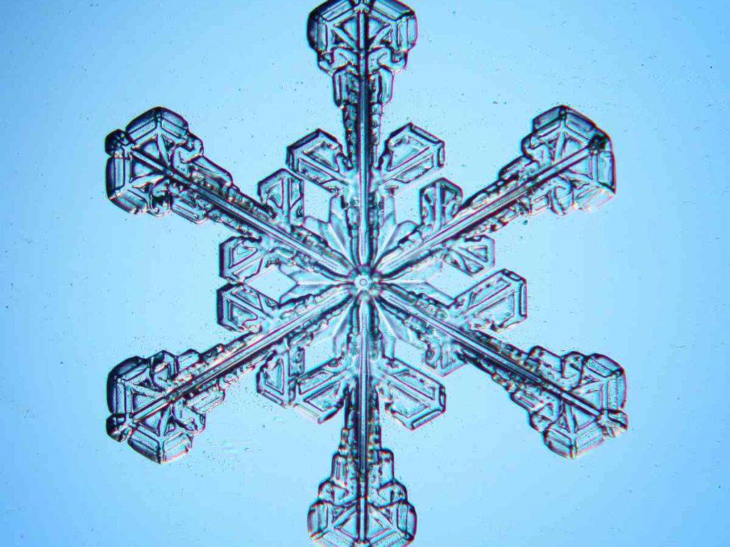 Curiosidades sobre el invierno según la ciencia