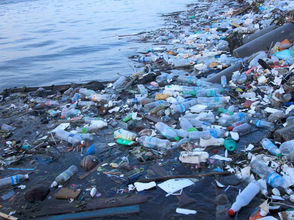 633 buzos rompen récord de limpieza marina más grande del mundo