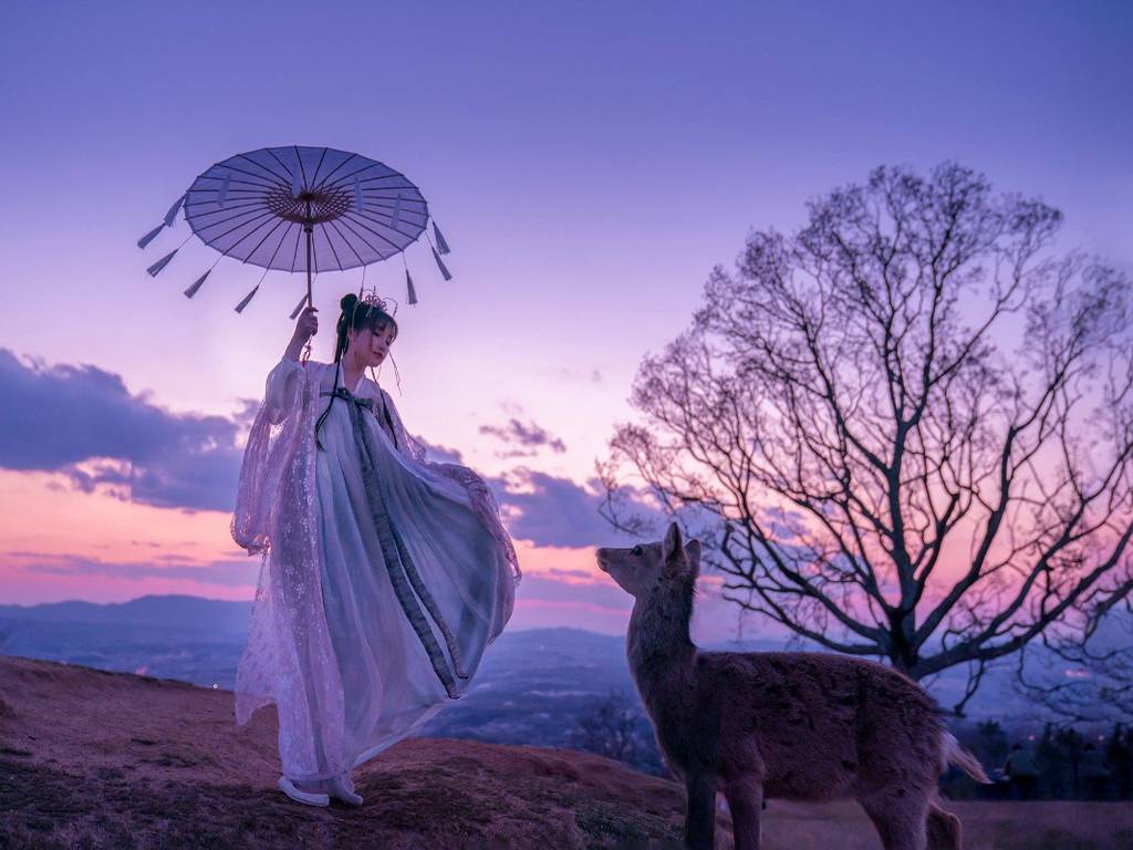 Sakura, la leyenda de amor que dio vida a los cerezos de Japón