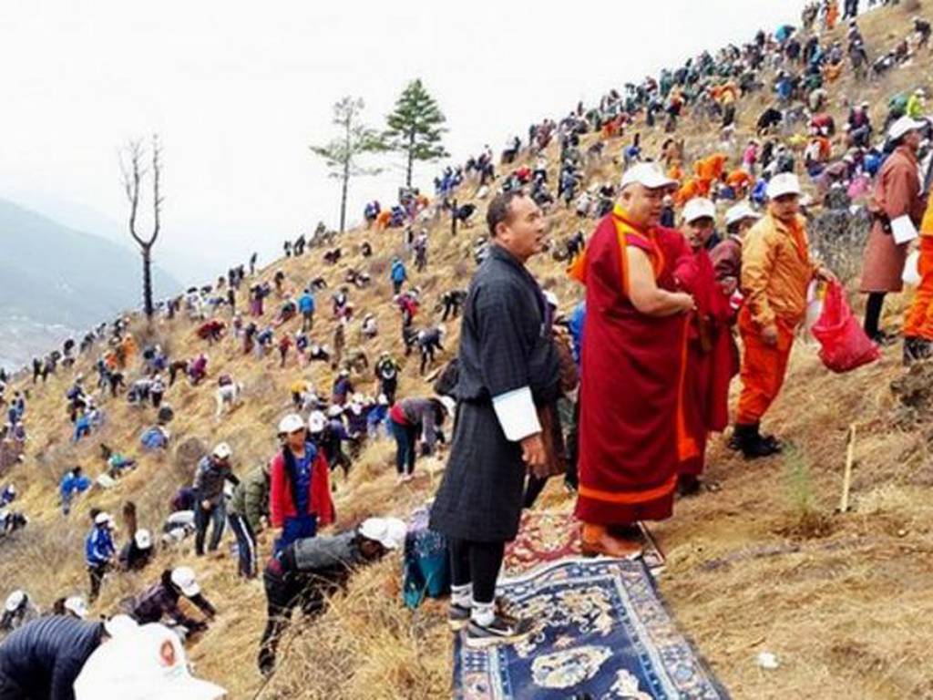 Bután celebra el nacimiento de su príncipe plantando 100 mil árboles