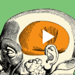 La Improvisación Musical Y Los Sueños Son Un Mismo Proceso Cerebral (estudio)