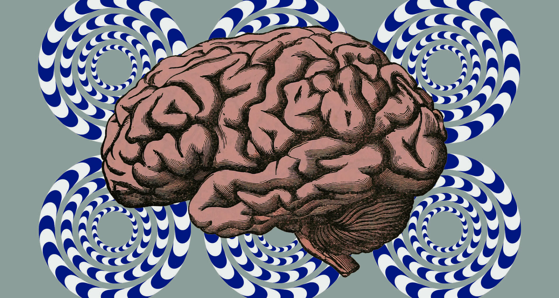 Por Qué Tu Cerebro Es Una Máquina Del Tiempo (que Vive Ligeramente En El Pasado)