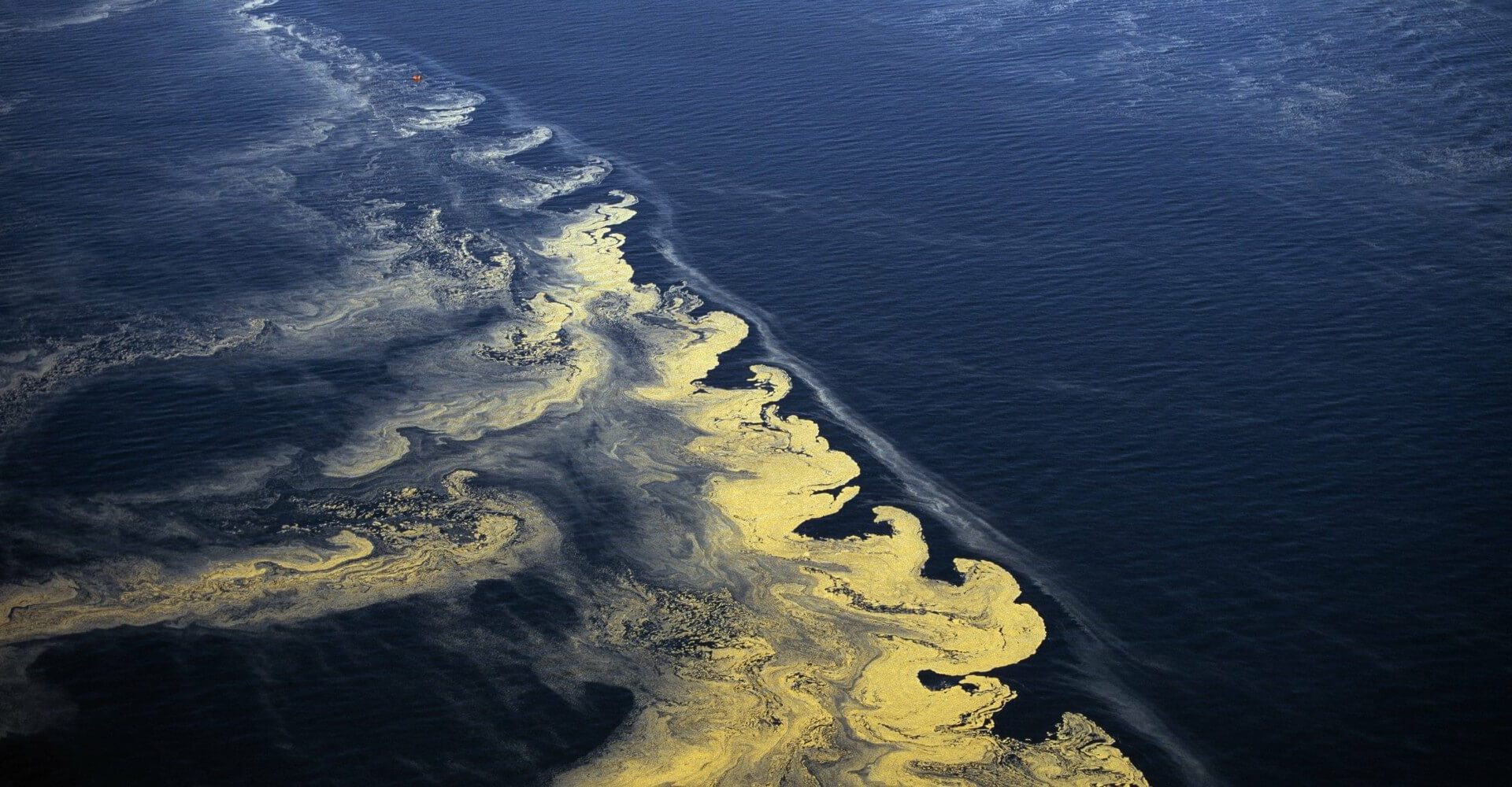La “zona Muerta” Del Golfo De México: Un Paraíso Sin Vida Marina Que Se Extiende