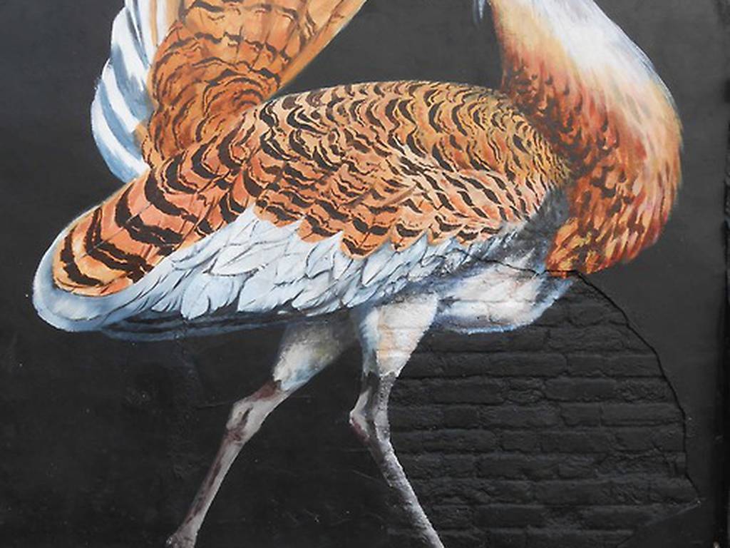 Graffiti honra a los preciosos pájaros ingleses en peligro de extinción (FOTOS)