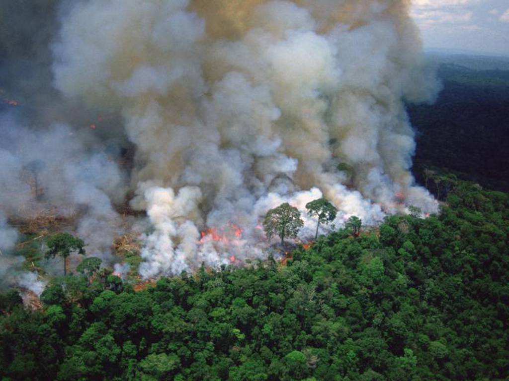 Indígenas del Amazonas en riesgo mientras los incendios aumentan