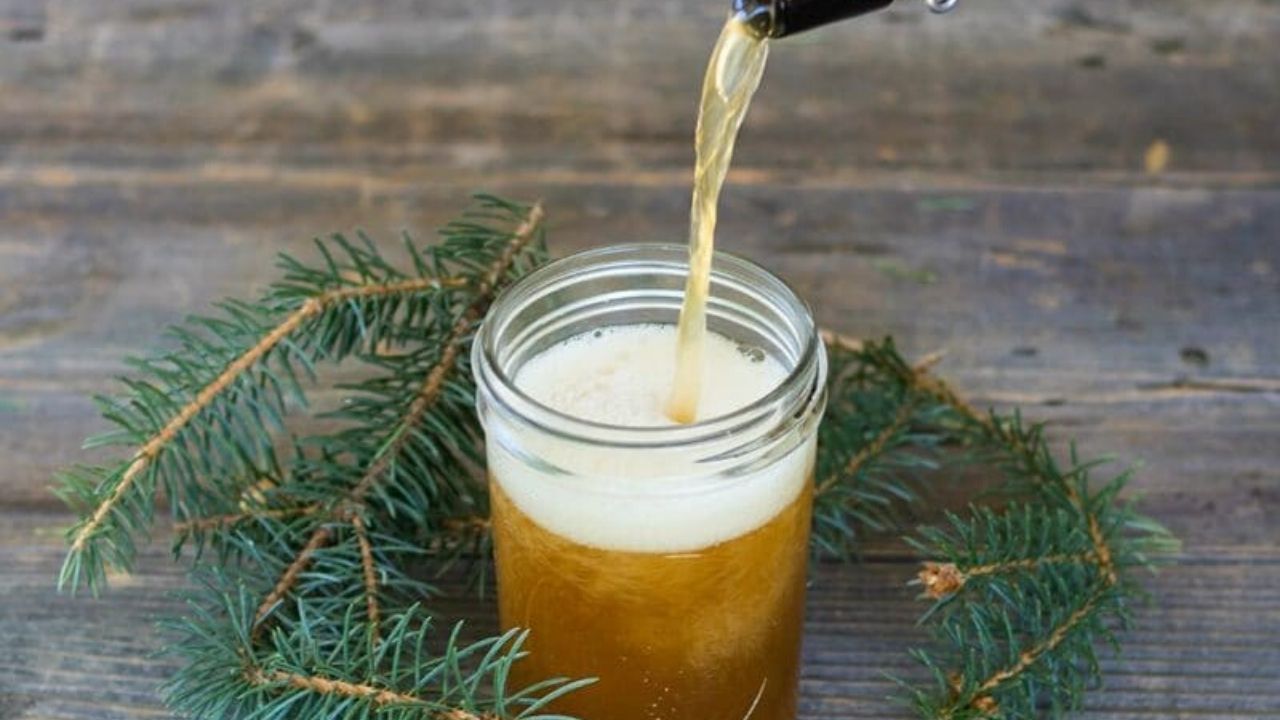 Haz Cerveza Casera Con Tu árbol De Navidad (5 Sencillos Ingredientes)
