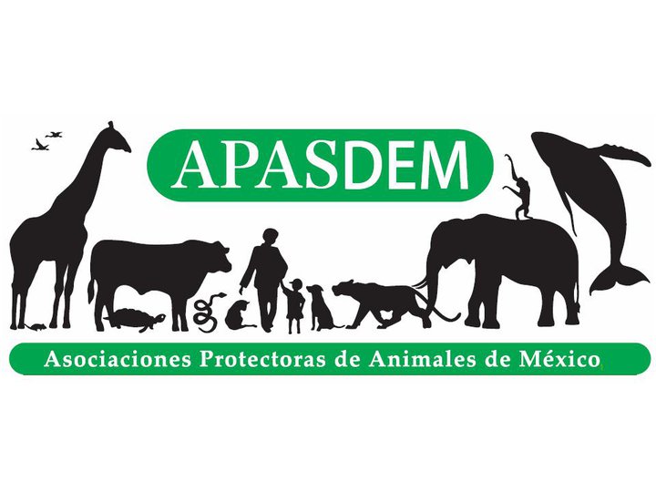 Asociaciones Protectoras de Animales de México