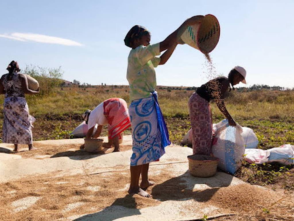 Madagascar en hambruna por el cambio climático (el primer país en enfrentarlo)