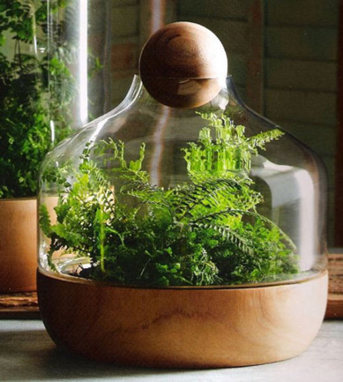 Tips para hacer tu propio jardín en una botella de vidrio