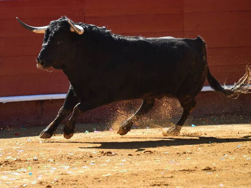 Sinaloa da un paso y prohíbe las corridas de toros