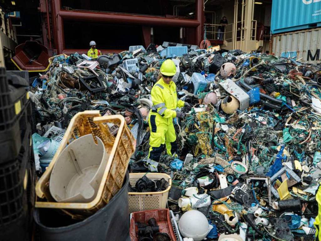 Refrigeradores, inodoros y 7 mil toneladas de basura, el resultado de la última limpieza marina